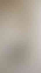 a couple who got the documents needed to get married in nyc