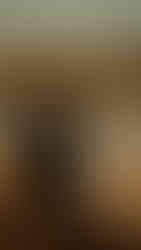 a couple at the met museum one of the best nyc proposal locations