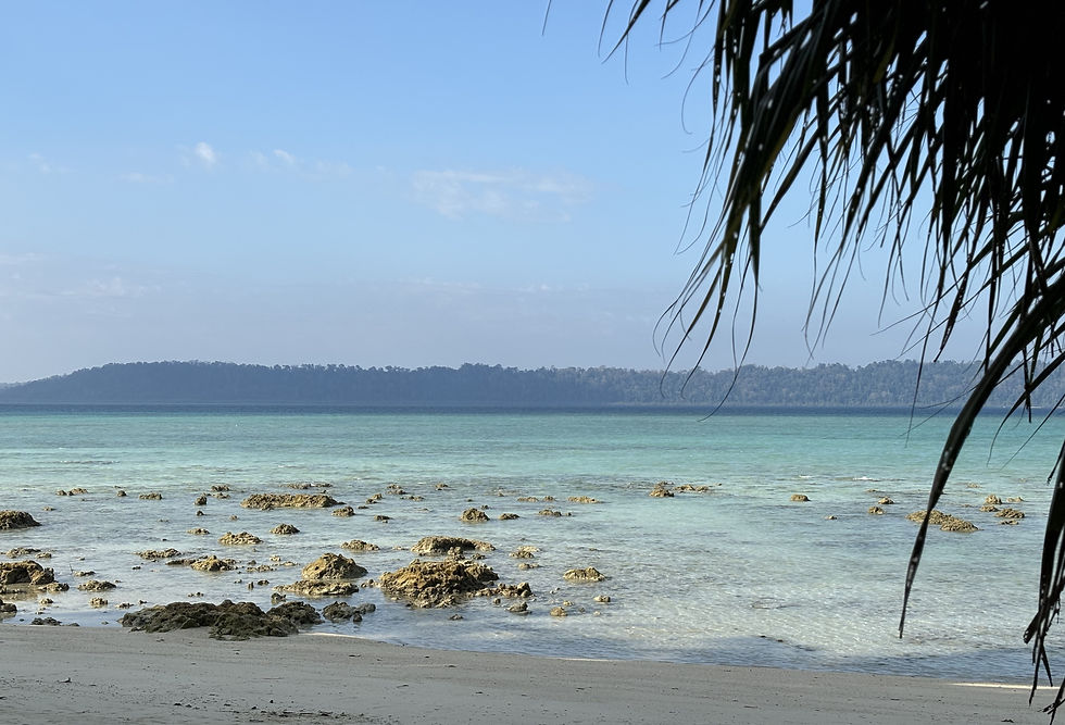 Where is Havelock Island