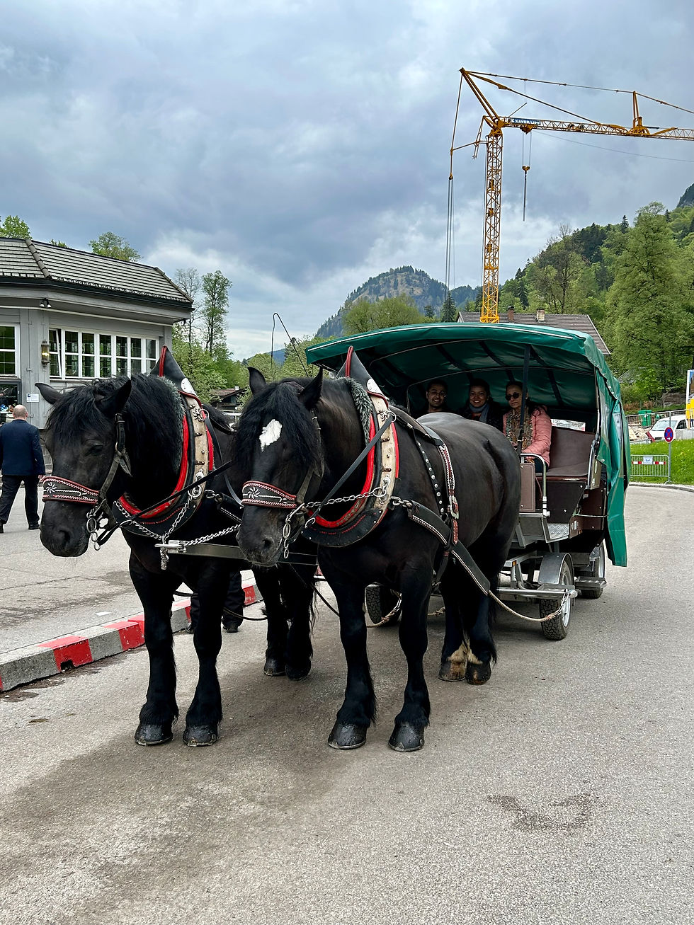 Visiting the most famous castle in Germany during a day trip from Munich