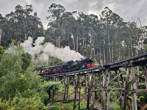 Puffing Billy Private Tour from Melbourne: Steam Engine Train, Redwood Forest & High Tea in the Mountains