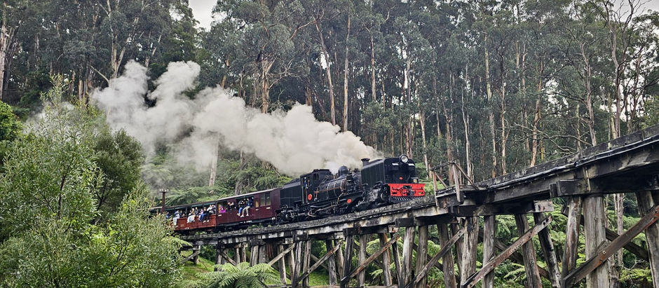 Puffing Billy Private Tour from Melbourne: Steam Engine Train, Redwood Forest & High Tea in the Mountains
