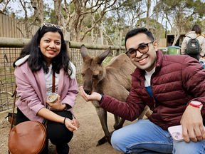 Phillip Island Private Tour from Melbourne: Kangaroos, Koalas, Penguins & Go-Karting on a Grand Prix Circuit