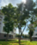 ISB Mohali campus in Chandigarh