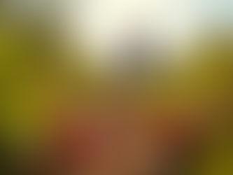 Maximize Agritourism Revenue with Expert Consulting