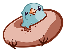 bird color_2x.png