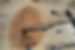 DJI_0286.JPG