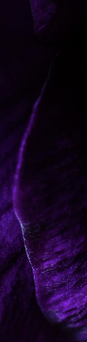purple_bg2.jpg