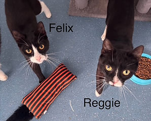 Felix and Reggie.jpg