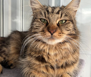 Freya Pic.jpeg
