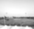 Sevens cricket pitch_edited.jpg