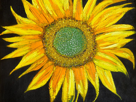 55. EL SECRETO DE SANAR TUS EMOCIONES Y TU RAZÓN