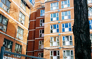windows and doors
