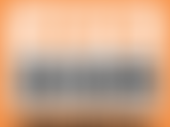 Local Govt Elections 2025 Report