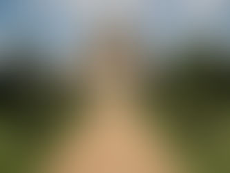 The grand neoclassical Rotunda and formal gardens at Ickworth Estate under a blue sky