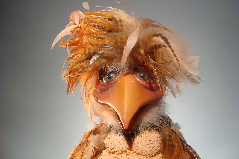 IIM TV Project, Fiona the Chicken Puppet