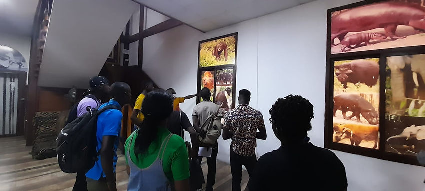 Kabbah_Endangered species in Liberia.jpeg