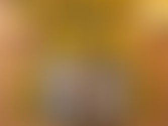 The Butterfly Project