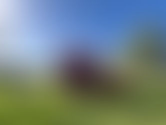 Exploring Menifee Event Rentals: Your Ultimate Guide to Unforgettable Celebrations