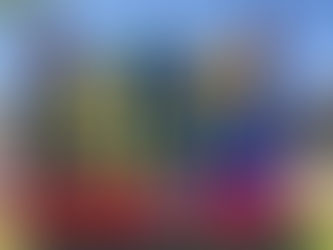 Riverside Bounce Rentals: The Ultimate Guide to Bounce House Rentals in Riverside