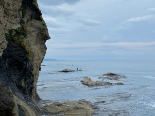 Surviving Tokyo as a nature lover