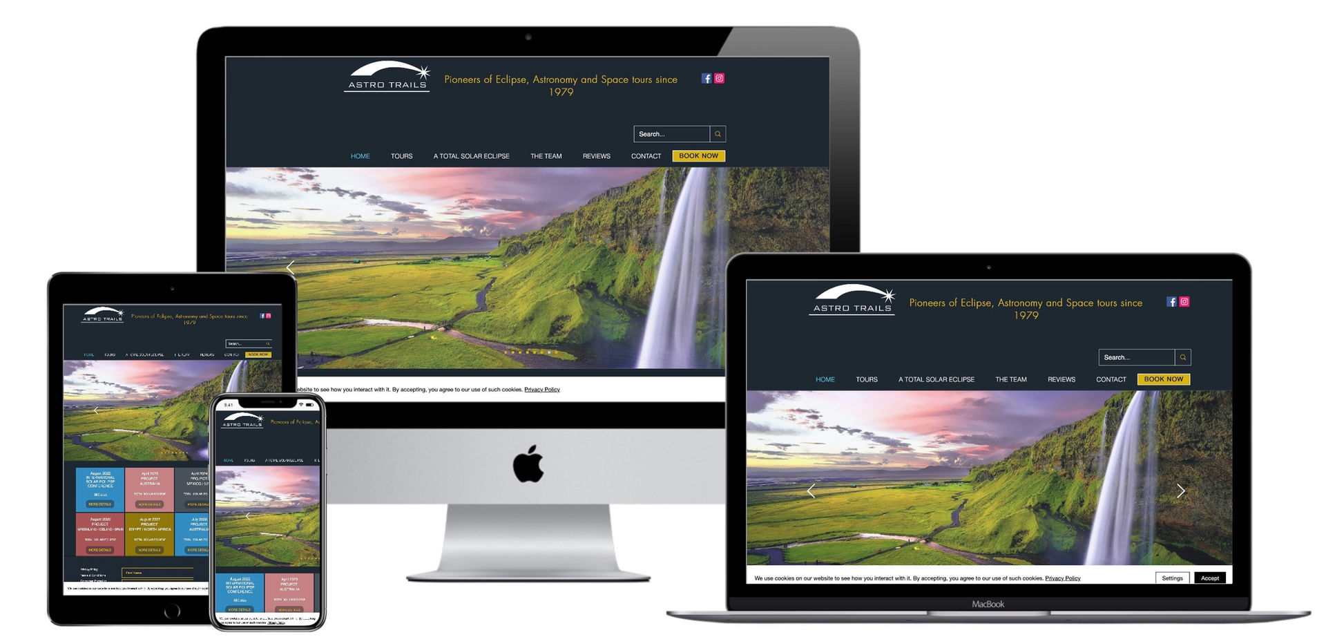 Bamboo Web Design Cardiff and Newport 