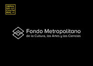 Logo Fondo Metropolitano_page-0001.jpg