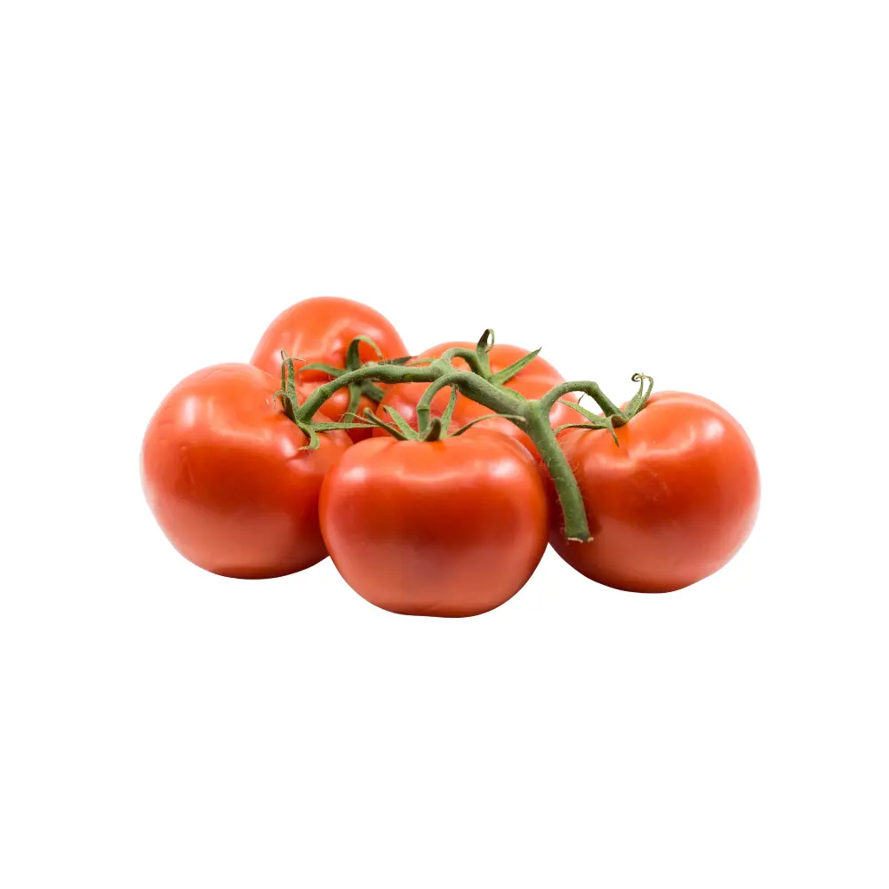 Fresh truss tomatoes
