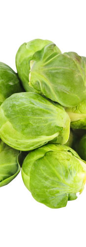 Fresh Brussels sprouts