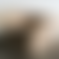 You have the option to Create Your Own Box and choose the content you love