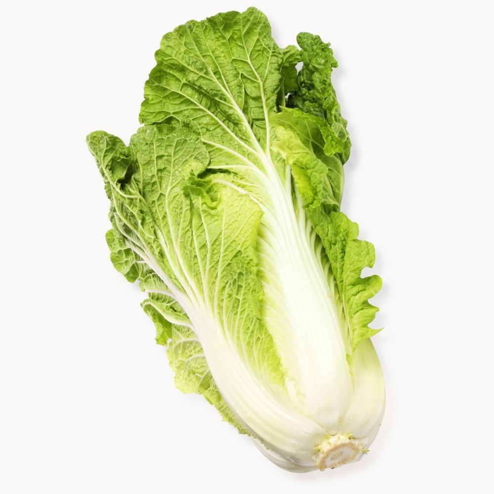 Fresh green Chinese cabbage