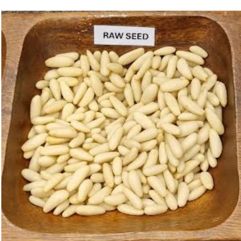 Raw pine nut seeds