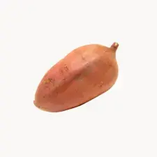 A piece of unpeeled Orange kumara, also known as Beauregard