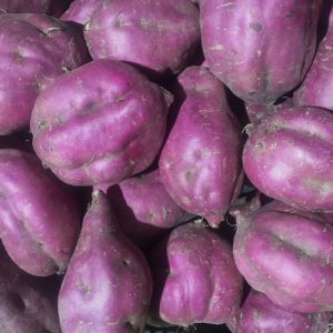 An aerial view of some purple kumara