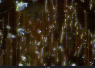 Processeur - 400 X - 02.jpg