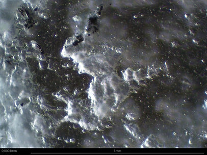 Morbier - 100X - 11 - Lumière naturelle - Retouche PixInsight.jpg