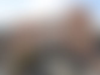 과천시의회 15일까지 과천시 행정사무감사 실시