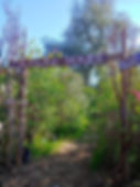 Lilac Maze Fort Cross Old Timey Adventures Julian Wynola California