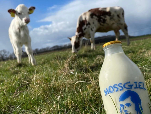 Screenshot 2026-01-06 at 17.16.48.png