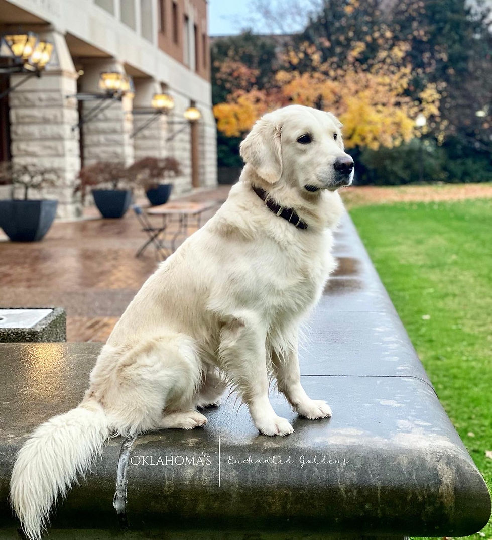 DAAA8AB4-55F8-4FFD-A6D8-C23162A14CD7