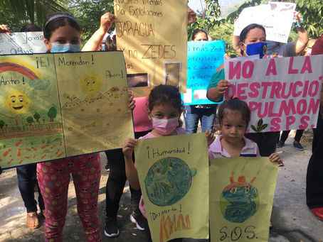 Ciudad Jaraguá: ¿Complejo eco arquitectónico o destrucción ambiental?