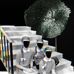 SERIALISM BEE VOL6 PART 1 NIGHT 3000 X 3000.jpg