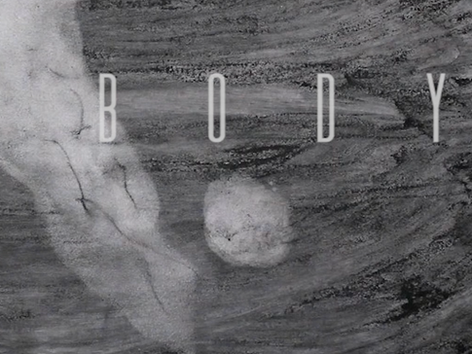 The Body 