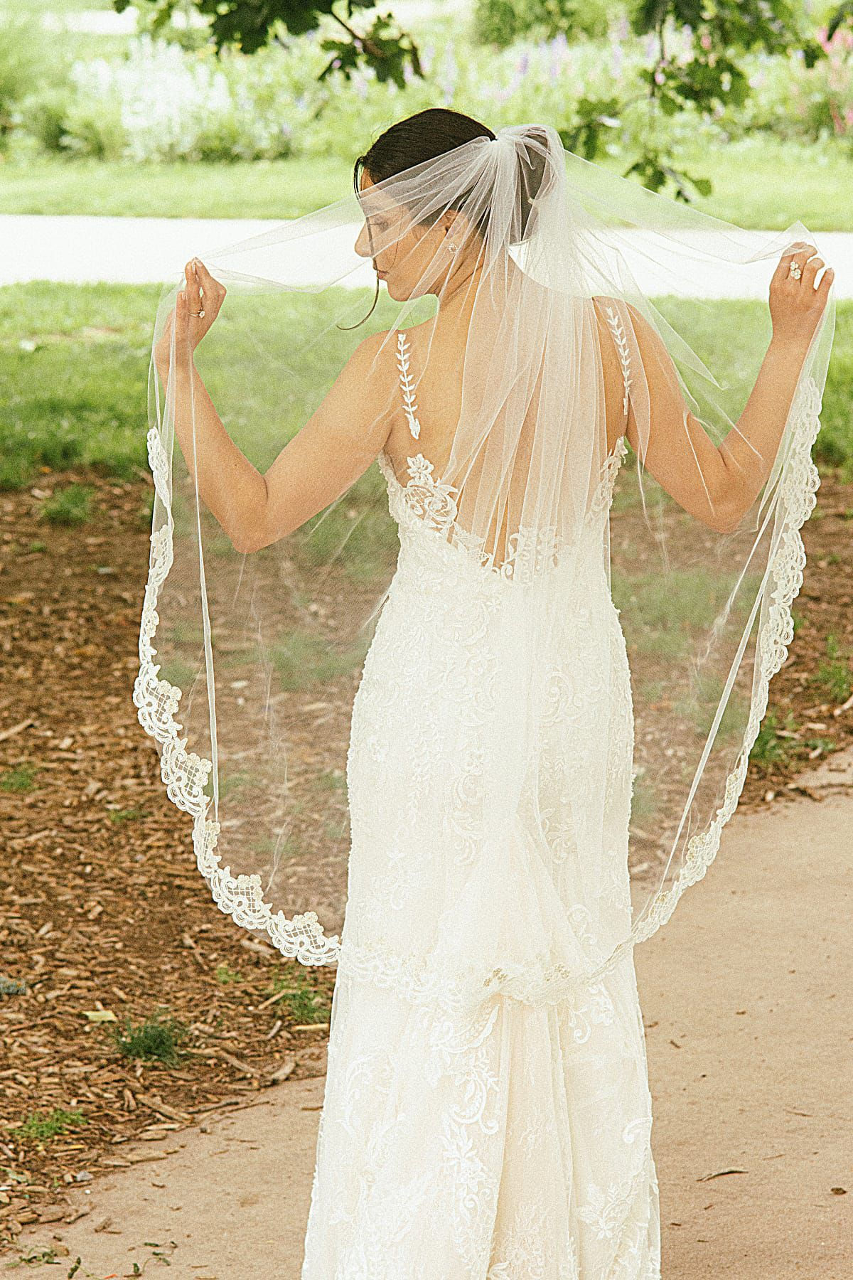 The Magnolia Veil