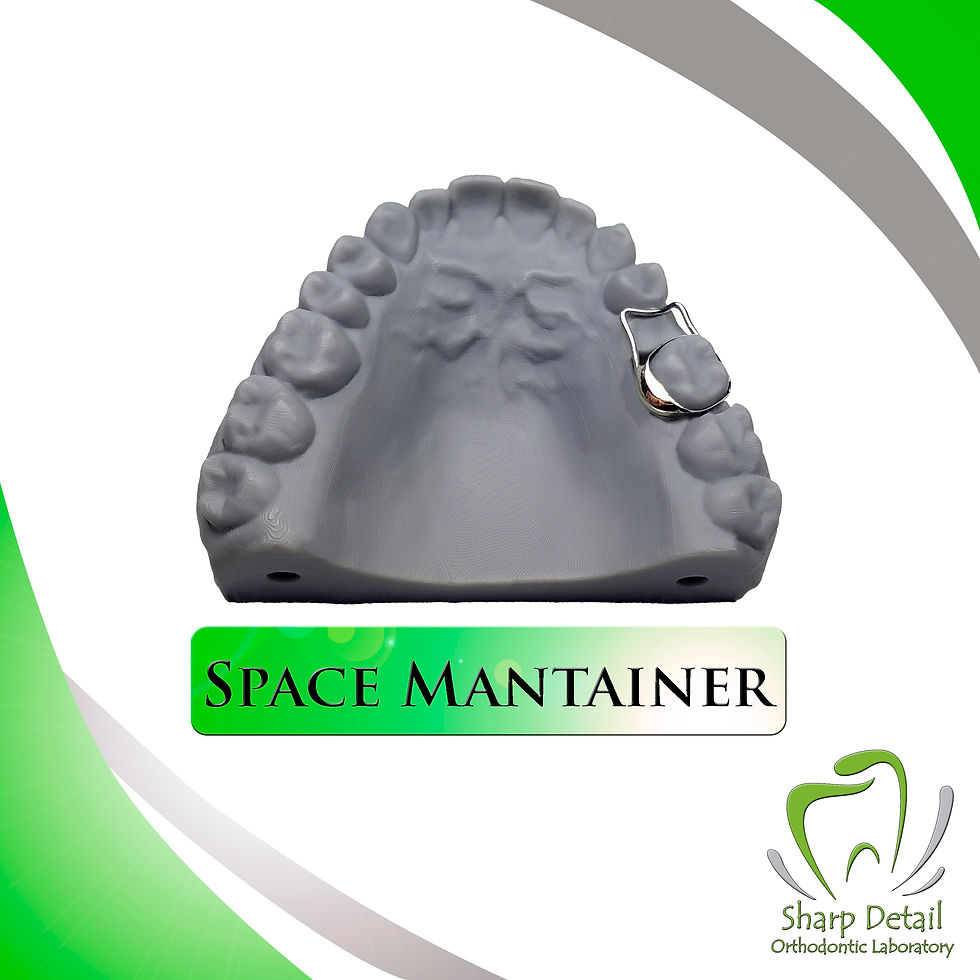 Space Mantainer