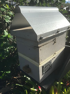 Hive In Place.jpeg