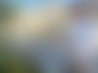 植栽のメンテナンスをする弊社代表