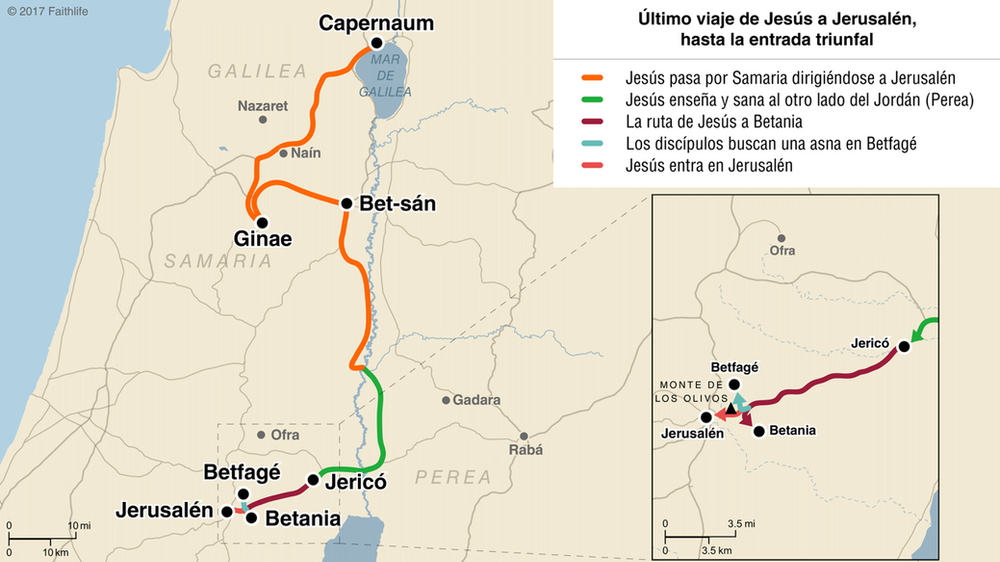 La Entrada Triunfal del Señor Jesús