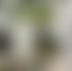 胡志明的地中海風情咖啡廳：Dalaland Coffee