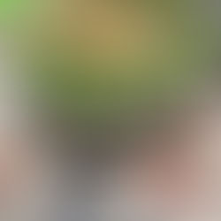 米其林推薦—胡志明市必吃麵店！